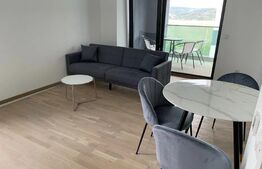 Apartament 2 camere, 55mp, cartier Pacurari