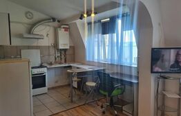 Apartament 1 camera, 30mp, zona Palat