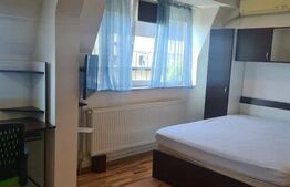 Apartament 1 camera, 30mp, zona Palat