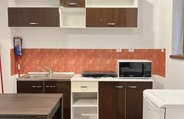 Apartament 1 camera, 28mp, zona Ultracentrala