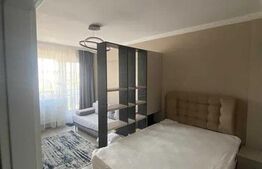 Apartament cu o camera, 40mp, zona Centrala