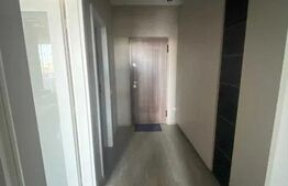 Apartament cu o camera, 40mp, zona Centrala