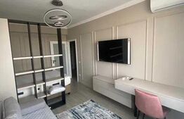 Apartament cu o camera, 40mp, zona Centrala