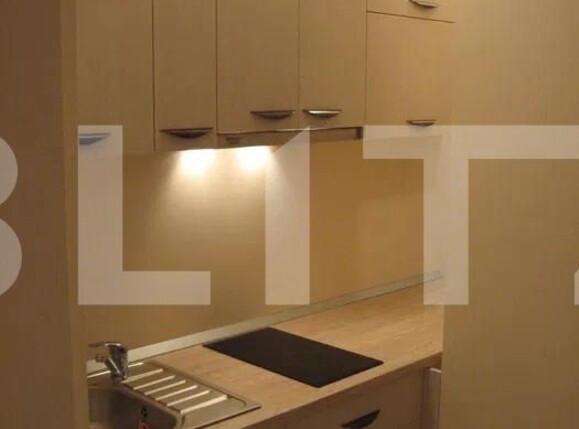 Garsonieră de închiriat Copou - 125613AI | BLITZ Iași | Poza4