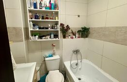 Apartament 2 camere, mobilat si utilat, zona Pepinierii