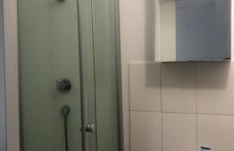 Apartament 1 camera, 19 mp, zona Bularga