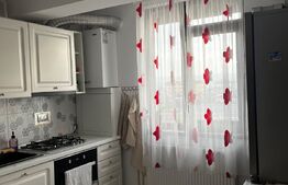 Apartament 1 camera, 30 mp, Valea Adanca