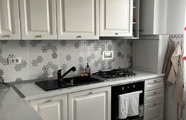 Apartament 1 camera, 30 mp, Valea Adanca