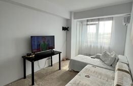 Apartament 1 camera, 30 mp, Valea Adanca