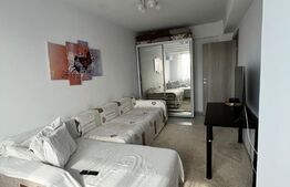 Apartament 1 camera, 30 mp, Valea Adanca