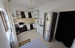 Apartament la vilă 4 camere, 136mp, zona Valea Lupului 
