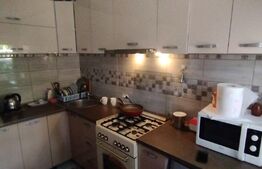 Casa 4 camere, 107 mp utili, la strada, 535 mp teren, Letcani