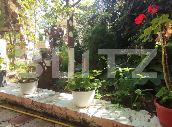 Casa de vânzare 4 camere Letcani - 125925CV | BLITZ Iași | Poza13