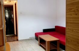 Garsoniera, 24mp, zona Baza3