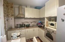 Apartament 2 camere, 55mp+gradina 59mp, zona Valea Adanca