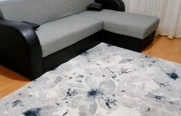 Apartament de 2 camere, 42mp, zona Garii