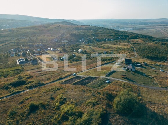 Teren de vânzare Tomesti - 126177TV | BLITZ Iași | Poza3