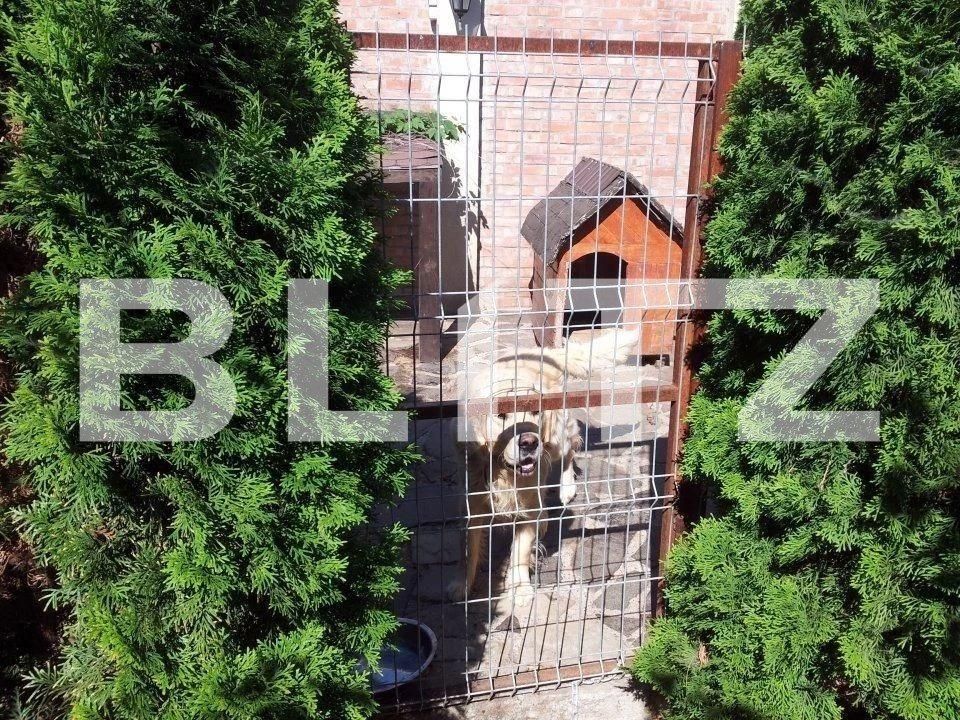 Casa de vânzare 9 camere Tudor Vladimirescu - 126384CV | BLITZ Iași | Poza8