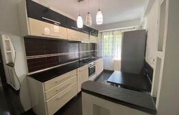 Apartament 2 camere, 45 mp, zona Cantemir
