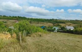 Teren intravilan, 885mp, ideal cabana,casa vacanta,  Visani