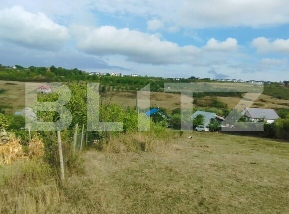 Teren de vânzare Visani - 126431TV | BLITZ Iași | Poza1