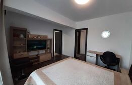 Apartament cu o camera, decomandat, 40mp, zona Tudor Vladimirecu