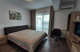 Apartament cu o camera, decomandat, 40mp, zona Tudor Vladimirecu