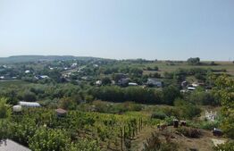 Ocazie! Casa la strada, 240 mp utili, 350 mp teren, Rediu