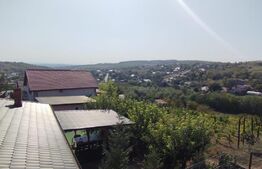 Ocazie! Casa la strada, 240 mp utili, 350 mp teren, Rediu