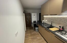 Apartament de 3 camere, 77mp, 2 bai, renovat complet, zona Nicolina