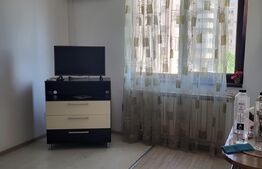 Apartament 1 camera, 30 mp, Rond Pacurari