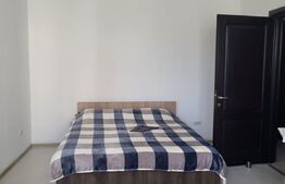 Apartament 1 camera, 30 mp, Rond Pacurari