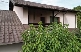 Casa exceptionala, 6 camere, 300mp, Breazu