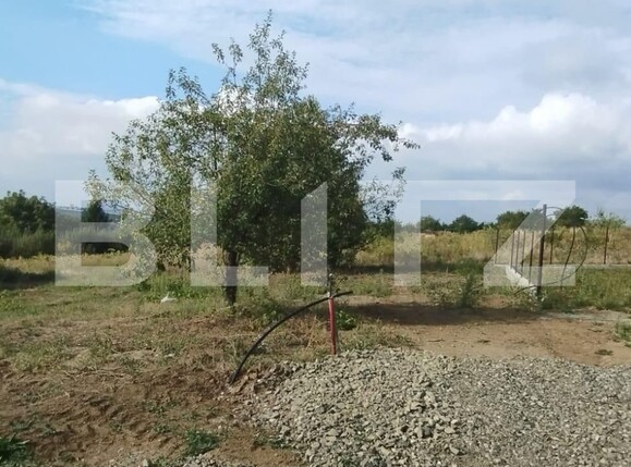 Teren de vânzare Visani - 127428TV | BLITZ Iași | Poza2