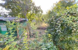 Casa 3 cam in oras , 80mp, 500mp teren