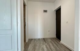 Apartament 1 camera, 27 mp, Lunca Cetatuii