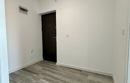 Apartament 1 camera, 27 mp, Lunca Cetatuii