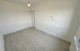 Apartament 1 camera, 27 mp, Lunca Cetatuii