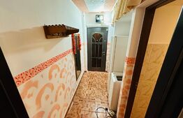 Apartament 1 camera, 27mp, decomandat, Alexandru cel Bun