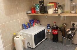 Camera de camin, 22mp, parter, zona Bularga