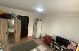 Camera de camin, 22mp, parter, zona Bularga