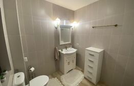 Casa 4 camere, 101mp, luxos mobilata si utilata, Miroslava