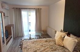 Apartament de 1 camera, 43mp, zona Frumoasa 