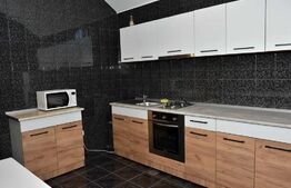 Apartament de 4 camere, 200mp, zona Copou