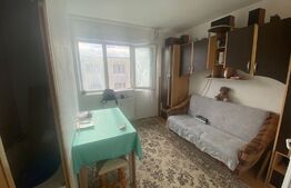 Camera de camin, 16 mp, zona Bularga 