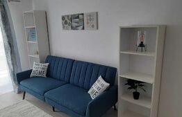 Apartament cu 2 camere, semidecomandat, 40mp, zona Valea Lupului