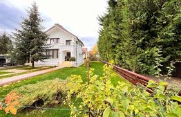 Casa de vis, 5 camere, 180 mp, Bucium