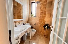 Casa de vis, 5 camere, 180 mp, Bucium