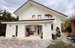 Casa de vis, 5 camere, 180 mp, Bucium