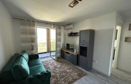 Apartament 1 camera de inchiriat, zona Frumoasa